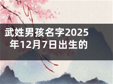 武姓男孩名字2025年12月7日出生的