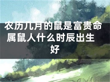 农历几月的鼠是富贵命 属鼠人什么时辰出生好