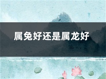 属兔好还是属龙好