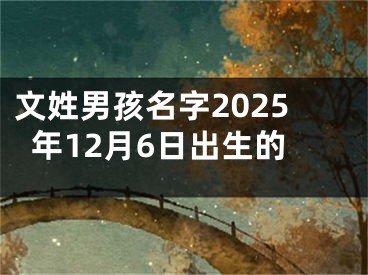 文姓男孩名字2025年12月6日出生的