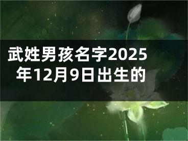 武姓男孩名字2025年12月9日出生的
