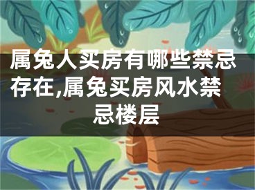 属兔人买房有哪些禁忌存在,属兔买房风水禁忌楼层