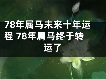 78年属马未来十年运程 78年属马终于转运了