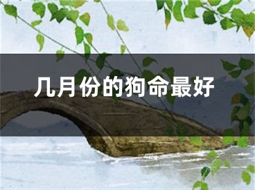 几月份的狗命最好