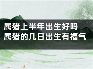 属猪上半年出生好吗 属猪的几日出生有福气