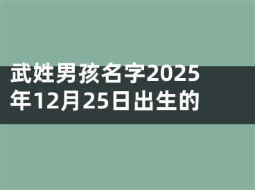武姓男孩名字2025年12月25日出生的
