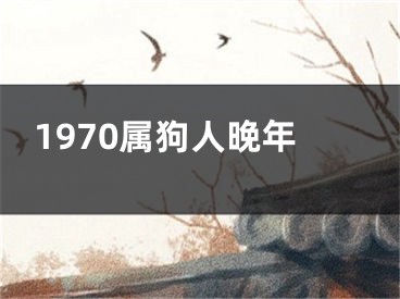 1970属狗人晚年