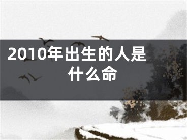 2010年出生的人是什么命