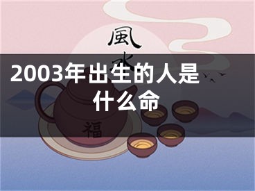 2003年出生的人是什么命
