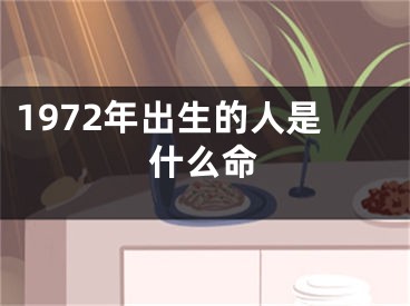 1972年出生的人是什么命