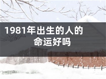 1981年出生的人的命运好吗