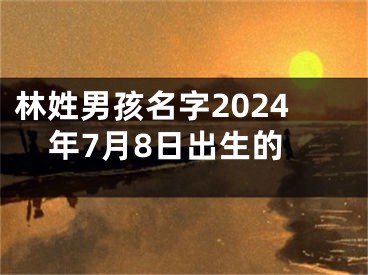 林姓男孩名字2024年7月8日出生的