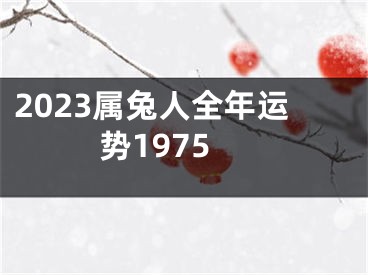 2023属兔人全年运势1975