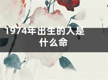 1974年出生的人是什么命