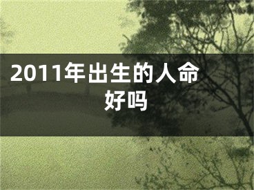 2011年出生的人命好吗