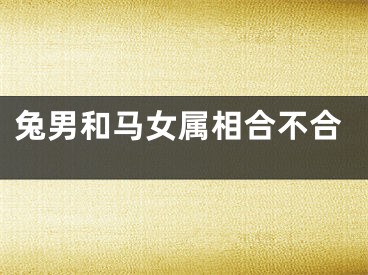 兔男和马女属相合不合