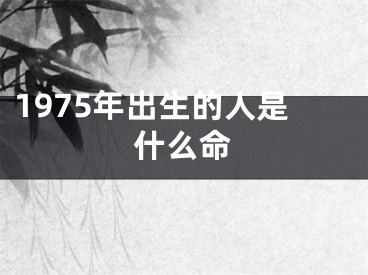1975年出生的人是什么命
