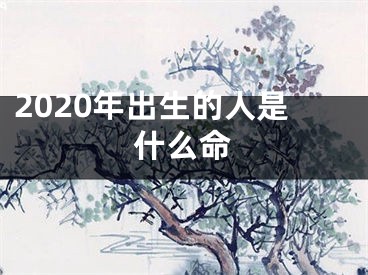 2020年出生的人是什么命