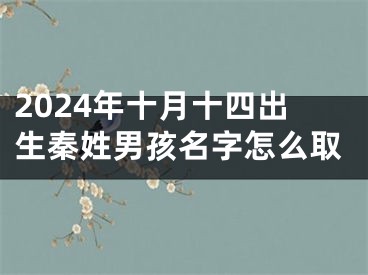 2024年十月十四出生秦姓男孩名字怎么取