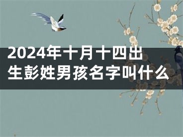 2024年十月十四出生彭姓男孩名字叫什么