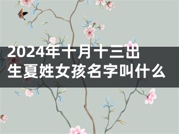 2024年十月十三出生夏姓女孩名字叫什么