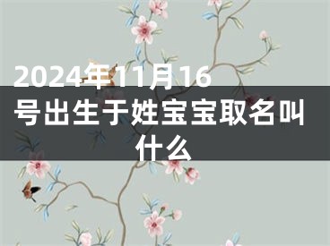 2024年11月16号出生于姓宝宝取名叫什么