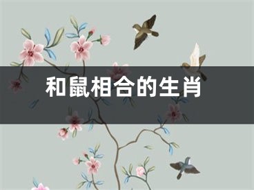 和鼠相合的生肖