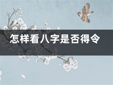 怎样看八字是否得令
