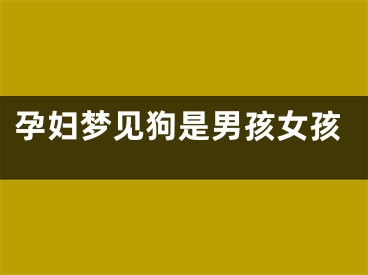 孕妇梦见狗是男孩女孩