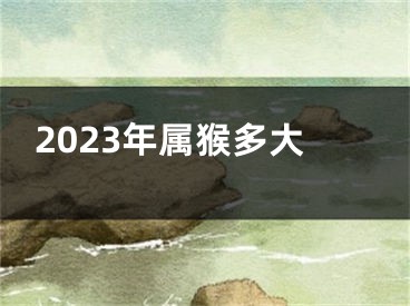 2023年属猴多大