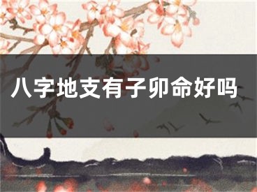八字地支有子卯命好吗