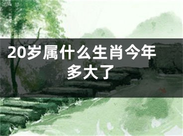20岁属什么生肖今年多大了
