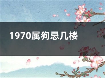 1970属狗忌几楼