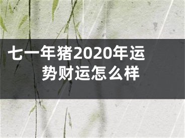 七一年猪2020年运势财运怎么样