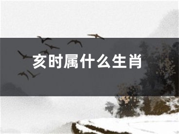 亥时属什么生肖