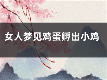 女人梦见鸡蛋孵出小鸡