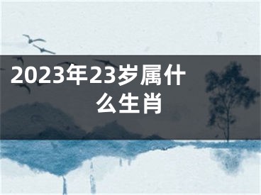 2023年23岁属什么生肖