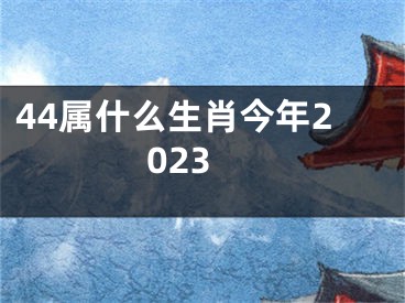 44属什么生肖今年2023