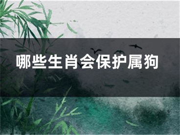 哪些生肖会保护属狗