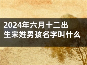 2024年六月十二出生宋姓男孩名字叫什么