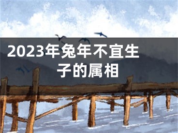 2023年兔年不宜生子的属相