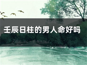 壬辰日柱的男人命好吗