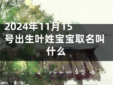 2024年11月15号出生叶姓宝宝取名叫什么