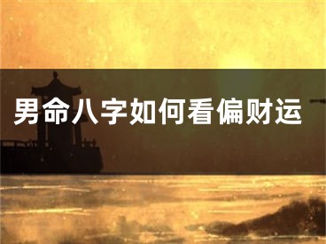 男命八字如何看偏财运