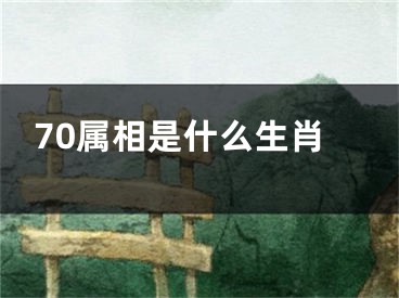 70属相是什么生肖