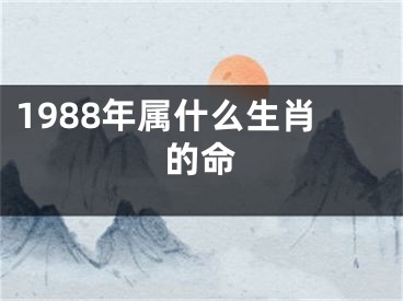1988年属什么生肖的命