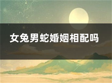 女兔男蛇婚姻相配吗