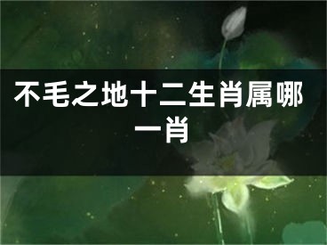 不毛之地十二生肖属哪一肖