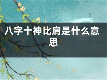 八字十神比肩是什么意思