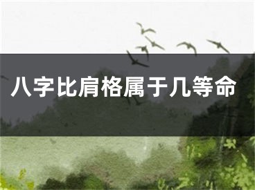 八字比肩格属于几等命